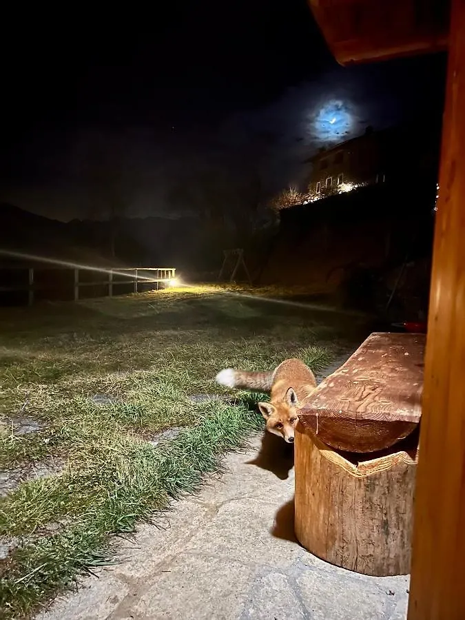 Baita “Oasi Della Volpe” Ca' Pavadri Chalet